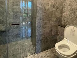 Parksuites (D10), Apartment #630743181